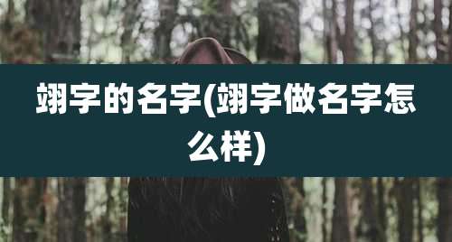 翊字的名字(翊字做名字怎么样)