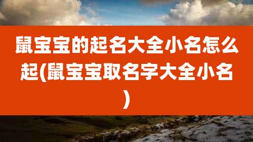 鼠宝宝的起名大全小名怎么起(鼠宝宝取名字大全小名)