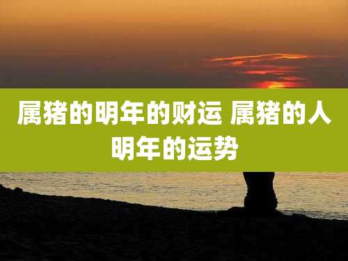 属猪的明年的财运 属猪的人明年的运势