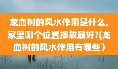 龙血树的风水作用是什么,家里哪个位置摆放最好?(龙血树的风水作用有哪些）