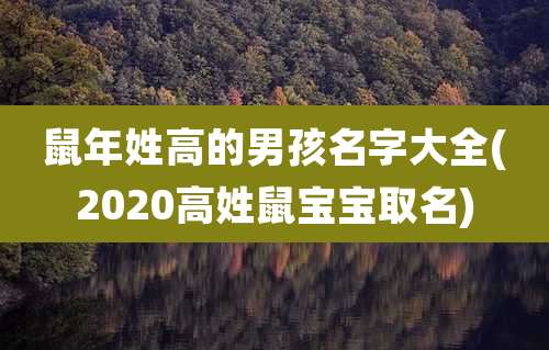鼠年姓高的男孩名字大全(2020高姓鼠宝宝取名)