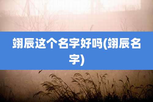 翊辰这个名字好吗(翊辰名字)