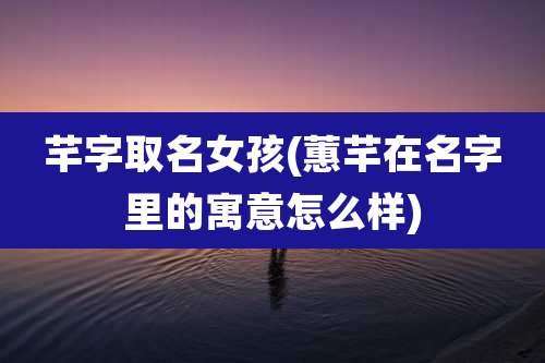芊字取名女孩(蕙芊在名字里的寓意怎么样)