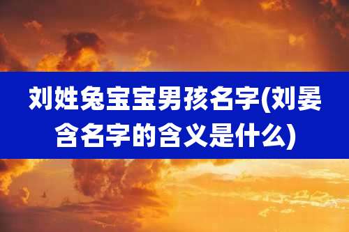 刘姓兔宝宝男孩名字(刘晏含名字的含义是什么)