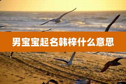 男宝宝起名韩梓什么意思