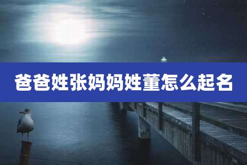 爸爸姓张妈妈姓董怎么起名