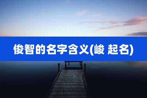 俊智的名字含义(峻 起名)