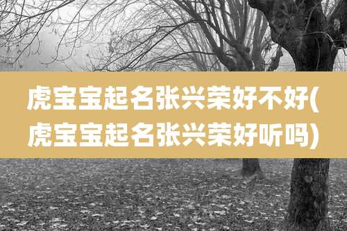 虎宝宝起名张兴荣好不好(虎宝宝起名张兴荣好听吗)
