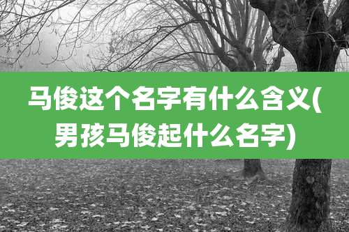 马俊这个名字有什么含义(男孩马俊起什么名字)