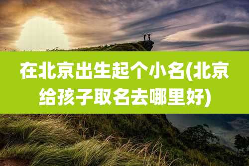 在北京出生起个小名(北京给孩子取名去哪里好)