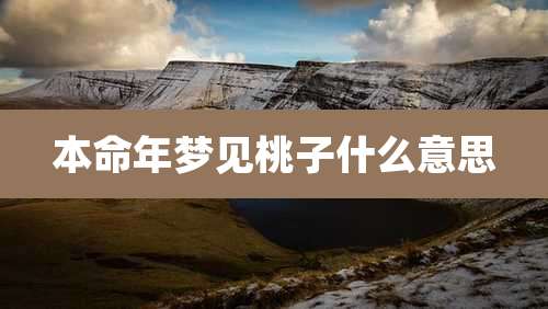 本命年梦见桃子什么意思