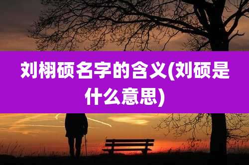 刘栩硕名字的含义(刘硕是什么意思)