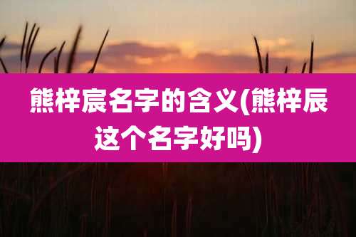 熊梓宸名字的含义(熊梓辰这个名字好吗)