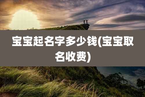 宝宝起名字多少钱(宝宝取名收费)