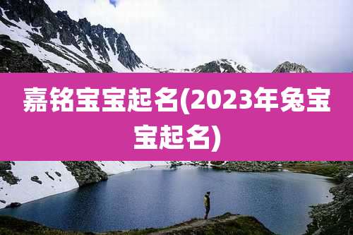 嘉铭宝宝起名(2023年兔宝宝起名)