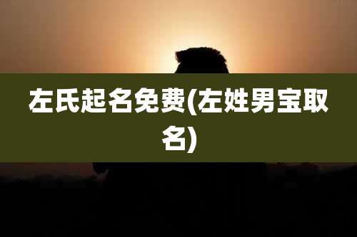 左氏起名免费(左姓男宝取名)