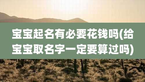宝宝起名有必要花钱吗(给宝宝取名字一定要算过吗)