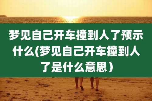 梦见自己开车撞到人了预示什么(梦见自己开车撞到人了是什么意思）