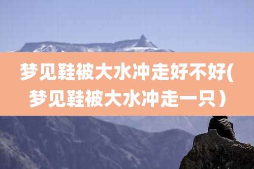 梦见鞋被大水冲走好不好(梦见鞋被大水冲走一只）