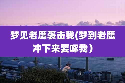梦见老鹰袭击我(梦到老鹰冲下来要啄我)