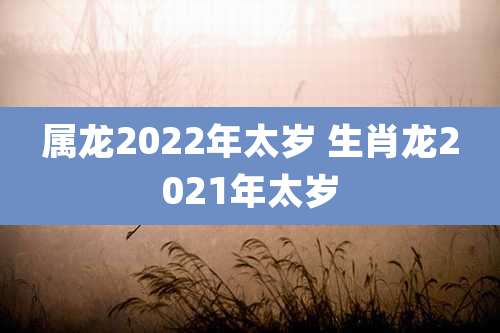 属龙2022年太岁 生肖龙2021年太岁