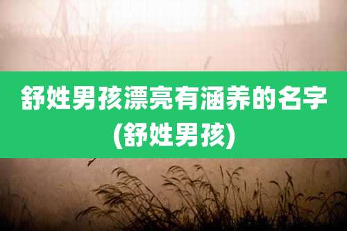 舒姓男孩漂亮有涵养的名字(舒姓男孩)