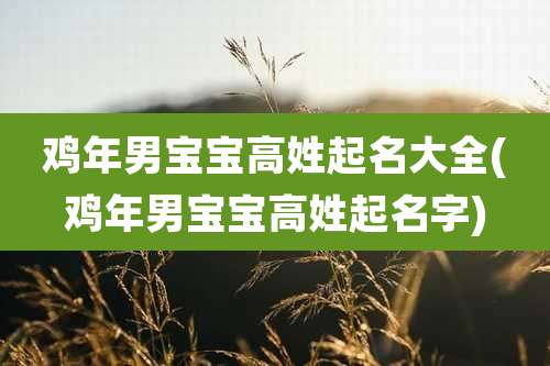 鸡年男宝宝高姓起名大全(鸡年男宝宝高姓起名字)