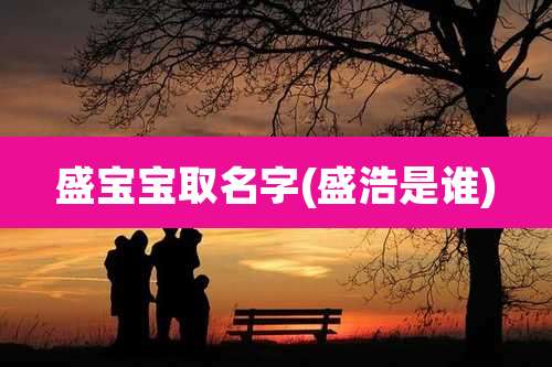 盛宝宝取名字(盛浩是谁)