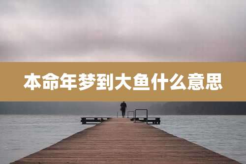 本命年梦到大鱼什么意思