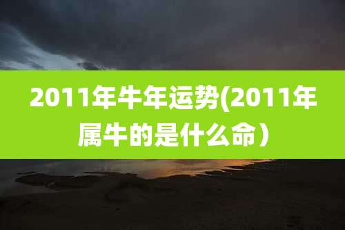 2011年牛年运势(2011年属牛的是什么命)