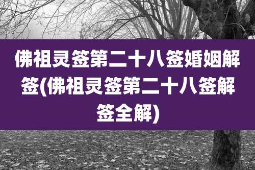 佛祖灵签第二十八签婚姻解签(佛祖灵签第二十八签解签全解)