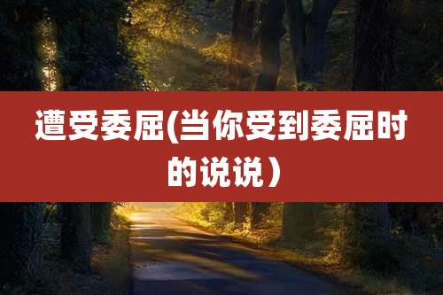 遭受委屈(当你受到委屈时的说说)