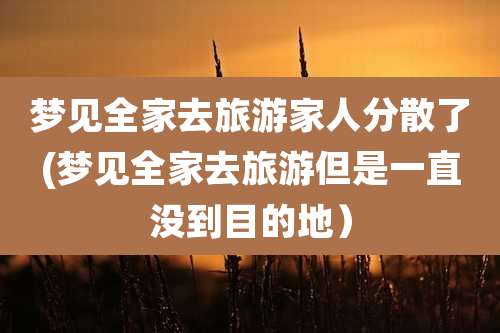 梦见全家去旅游家人分散了(梦见全家去旅游但是一直没到目的地)