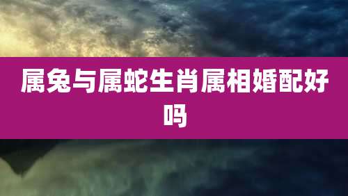 属兔与属蛇生肖属相婚配好吗