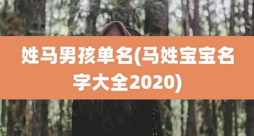 姓马男孩单名(马姓宝宝名字大全2020)