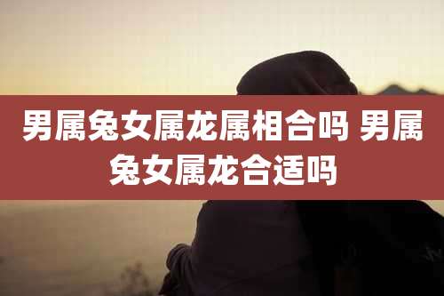 男属兔女属龙属相合吗 男属兔女属龙合适吗