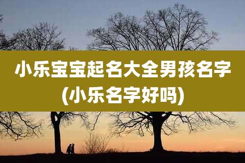 小乐宝宝起名大全男孩名字(小乐名字好吗)