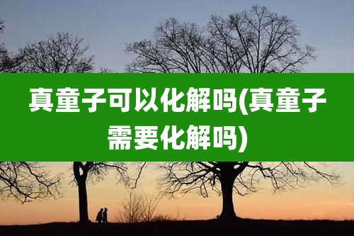 真童子可以化解吗(真童子需要化解吗)