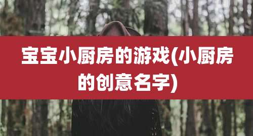 宝宝小厨房的游戏(小厨房的创意名字)