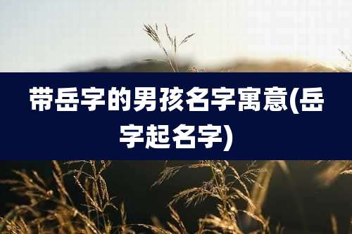 带岳字的男孩名字寓意(岳字起名字)