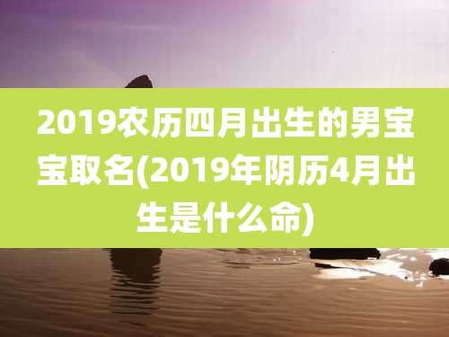 2019农历四月出生的男宝宝取名(2019年阴历4月出生是什么命)