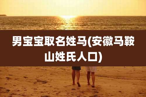 男宝宝取名姓马(安徽马鞍山姓氏人口)