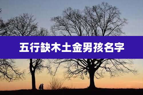 五行缺木土金男孩名字