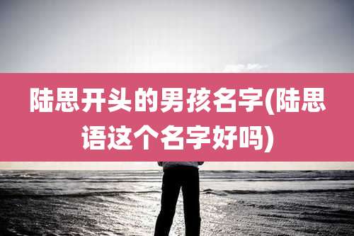 陆思开头的男孩名字(陆思语这个名字好吗)
