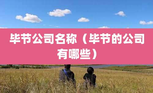 毕节公司名称（毕节的公司有哪些）