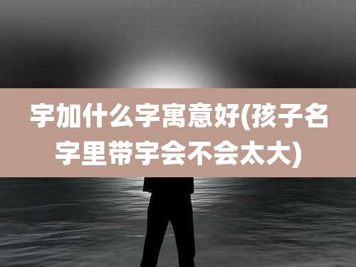 宇加什么字寓意好(孩子名字里带宇会不会太大)