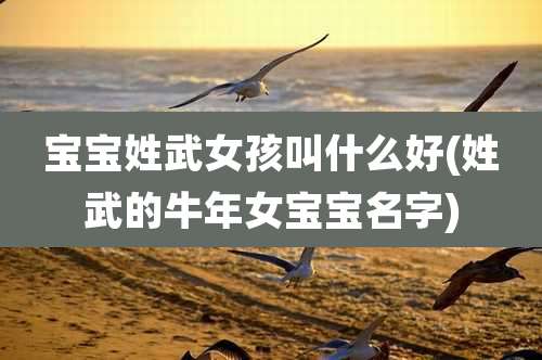 宝宝姓武女孩叫什么好(姓武的牛年女宝宝名字)