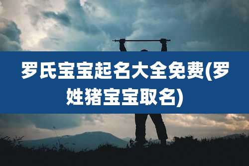 罗氏宝宝起名大全免费(罗姓猪宝宝取名)