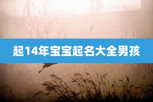 起14年宝宝起名大全男孩