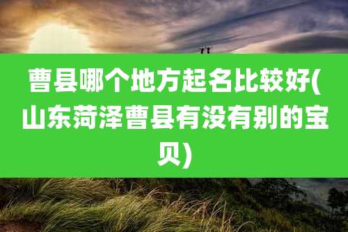曹县哪个地方起名比较好(山东菏泽曹县有没有别的宝贝)